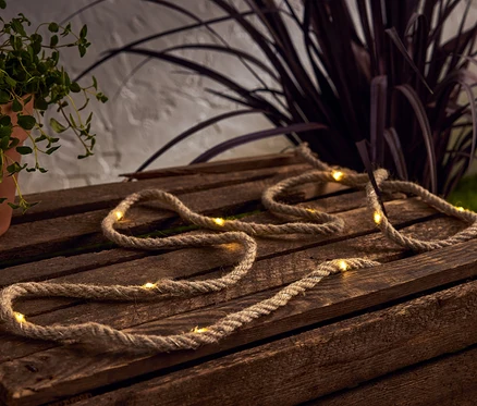 Une plante en pot et une guirlande lumineuse sont posées sur une caisse en bois sombre.