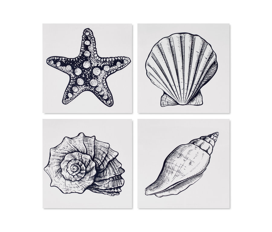 Quatre autocollants pour carrelage à motifs maritimes : étoile de mer, coquille Saint-Jacques, coquille et coquillage.