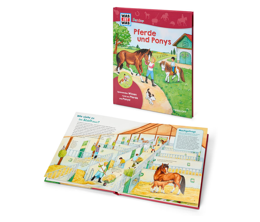 Un livre ouvert avec des illustrations de chevaux et de poneys et un deuxième livre intitulé Chevaux et poneys.