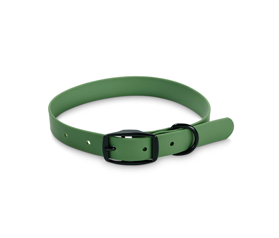 Collier pour chien vert avec boucle noire.