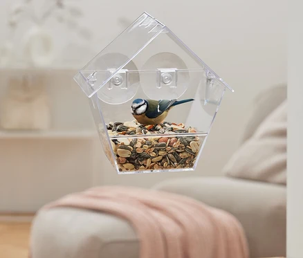 Une mésange bleue est perché dans une mangeoire à oiseaux.