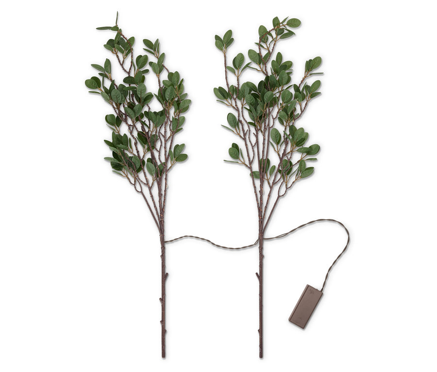 Deux branches avec de petites feuilles vertes reliées par un câble à un boîtier de batterie.