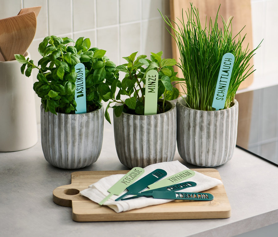 Trois pots avec du basilic, de la menthe et de la ciboulette sont placés côte à côte sur un plan de travail de cuisine. Devant, 8 écriteaux pour fines herbes reposent sur une planche.