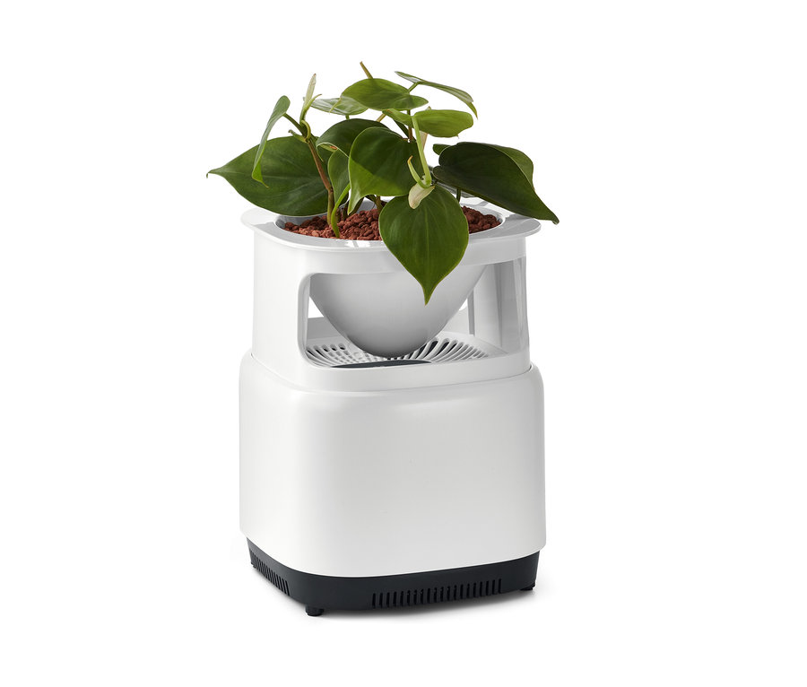 Pot de fleurs avec filtre à air.