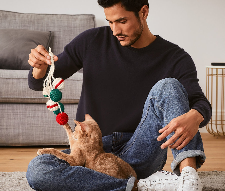 Un homme est assis par terre et joue avec un chat avec un jouet pour chat « hochet ».