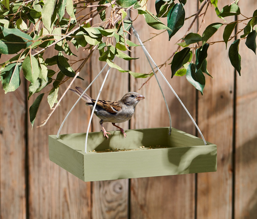 Moineau perché sur une mangeoire à oiseaux verte.