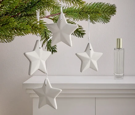 Une branche avec des aiguilles sur laquelle sont suspendues quatre étoiles blanches sur une armoire blanche. A côté des étoiles se trouve un flacon de parfum.