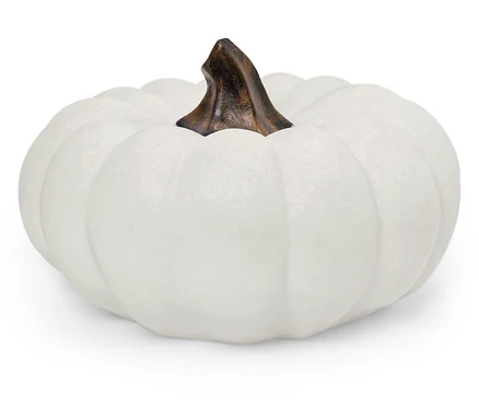 Une citrouille blanche avec une tige marron sur un fond blanc.