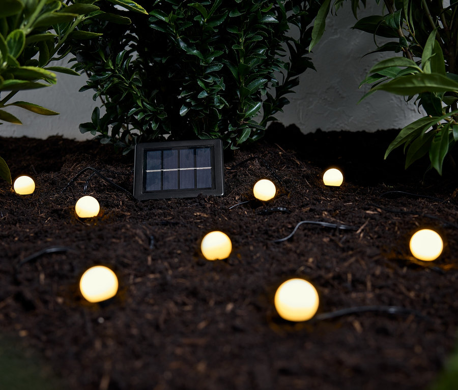 Une guirlande lumineuse solaire avec plusieurs lumiĂšres rondes repose sur de la terre brune parmi des plantes vertes.