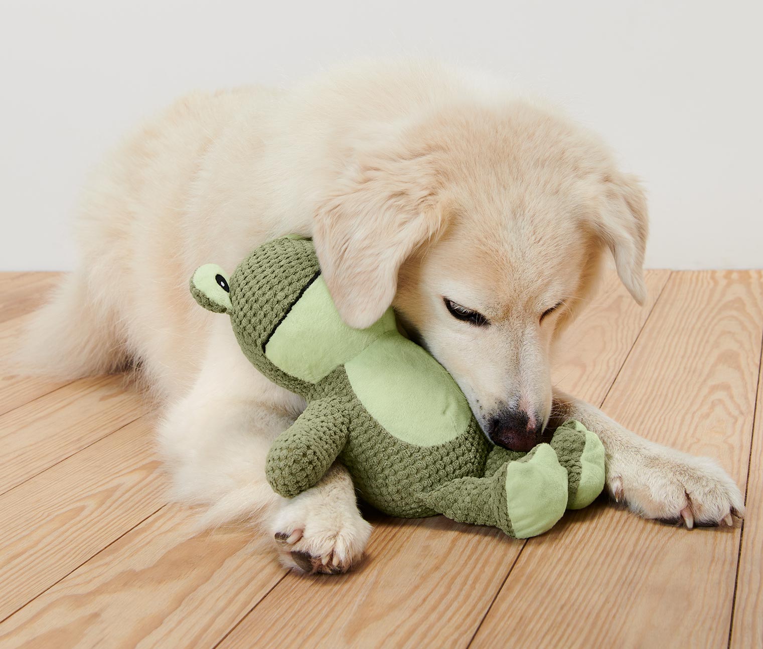 Jouet pour chien en peluche « Grenouille »