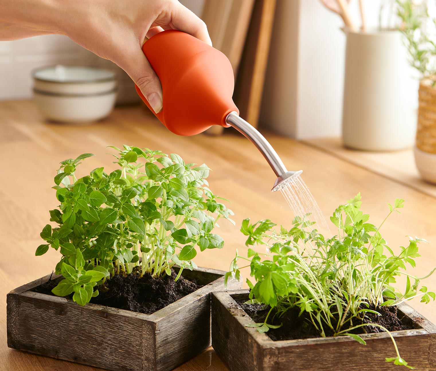 Arrosoir de jardin pour culture