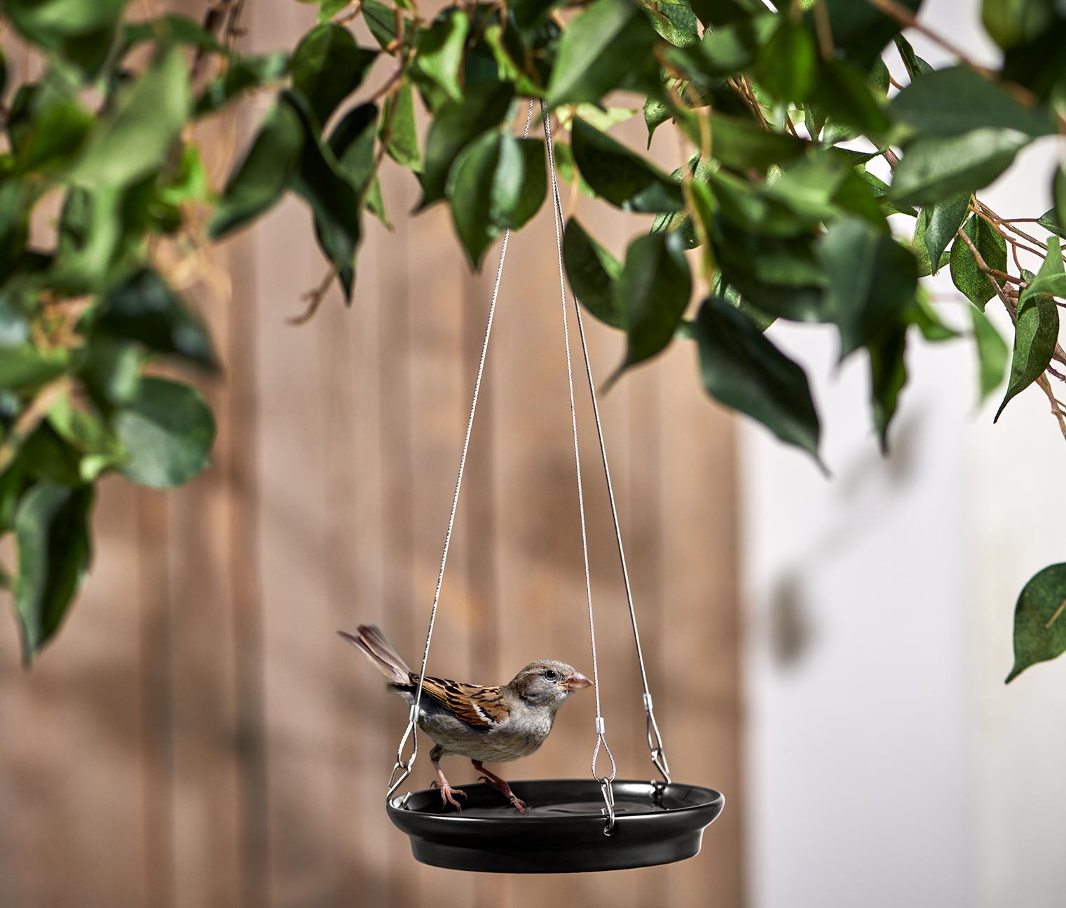 Abreuvoir pour oiseaux en céramique