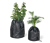 Set de protection pour les plantes