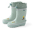 Bottes de pluie, vert, chien